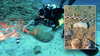 Divers discover 'hidden treasures' during expedition to eerie ancient shipwreck