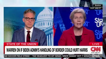 Elizabeth Warren Shocks Critics with Call for Citizenship for Illegal Immigrants