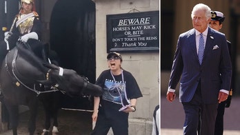 King Charles’ guard horse bites tourist posing for photo: ‘Thought she was going to pass out’