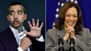 The Democrats' Dilemma: Kamala Harris or Joe Biden?