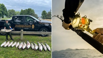 Angler arrested after catching 14 oversized fish: 'Caught red-handed'