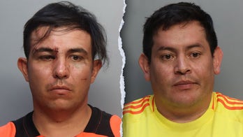 Copa América final arrests include at least 11 illegal immigrants: report
