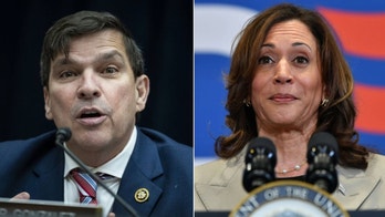 House Dem from border district dodges questions on Harris' immigration record: 'Was she a border czar?'