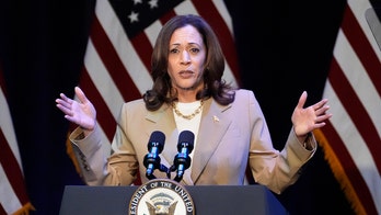 Harris' momentum a reflection of Democrat 'relief' replacing Biden: GOP strategist