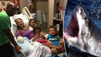 Shark Watch: American on Bahamas vacation yanks shark's mouth open and 'arm just flies out'