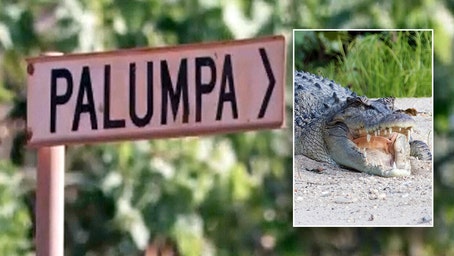 Crocodile Kills 12-Year-Old Girl in Northern Australia, Reigniting Debate on Population Control