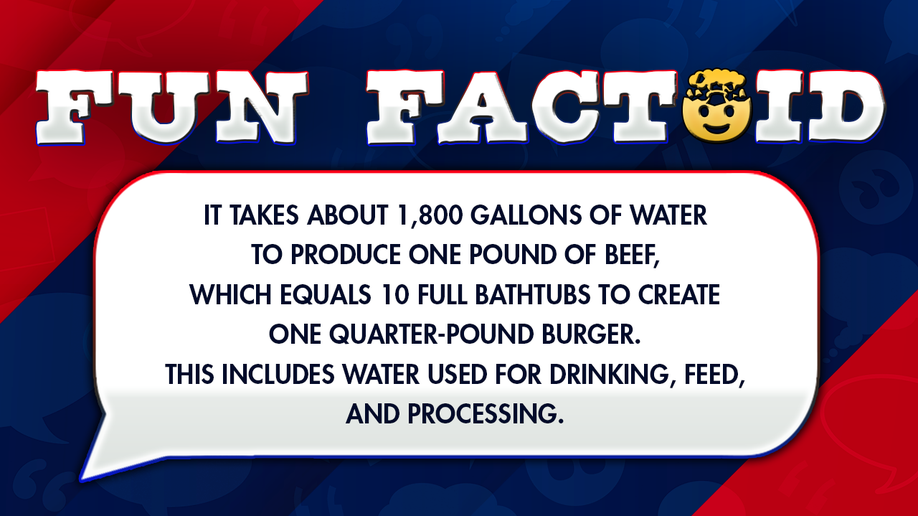 It takes about 1,800 gallons of water to produce one pound of beef, which equals 10 full bathtubs to create one quarter-pound burger. This includes water used for drinking, feed, and processing.
