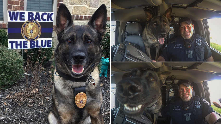 Texas K-9 retires after nearly a decade of service, gets heartfelt 'thank you' from law enforcement