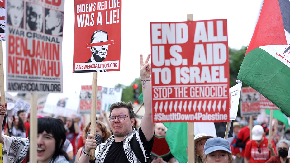 Anti-Israel protesters handed legal setback in effort to expand DNC rally