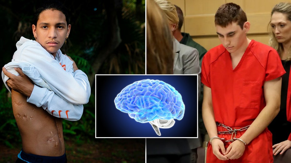 Florida mass school shooter agrees to give brain to science in stunning settlement
