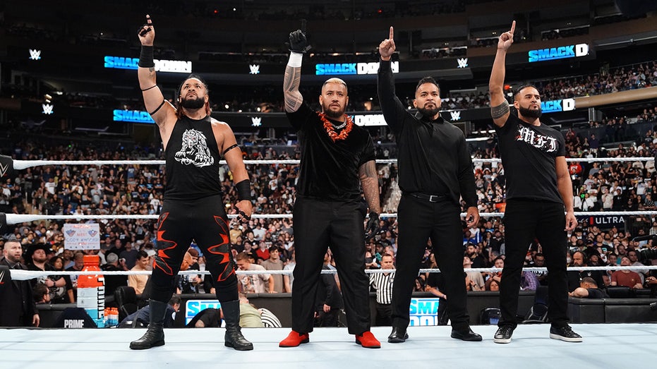 WWE setting records at arenas and stadiums as popularity soars in 2024