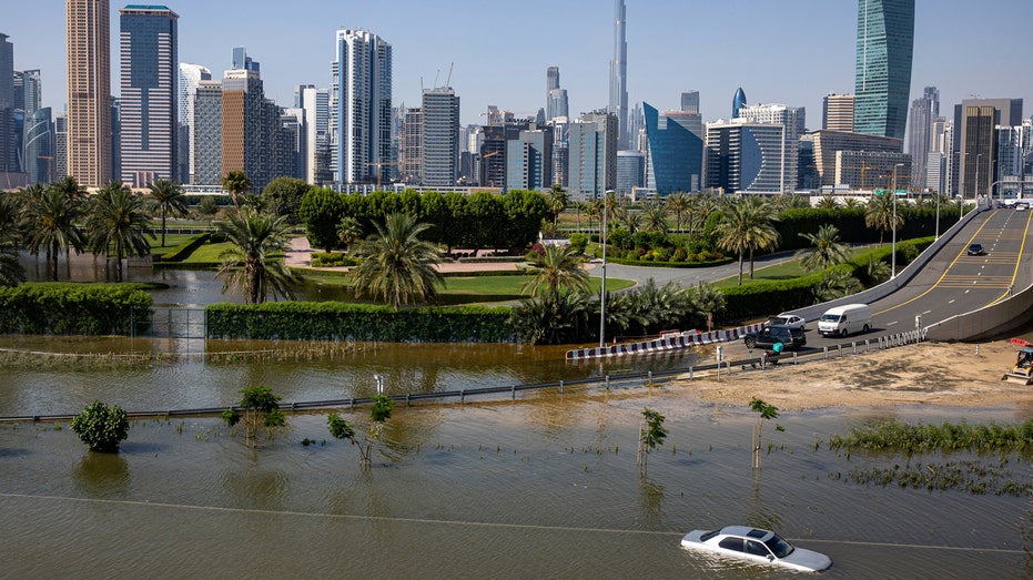 Dengue fever surges in UAE after record rainfall creates ideal conditions for mosquitoes