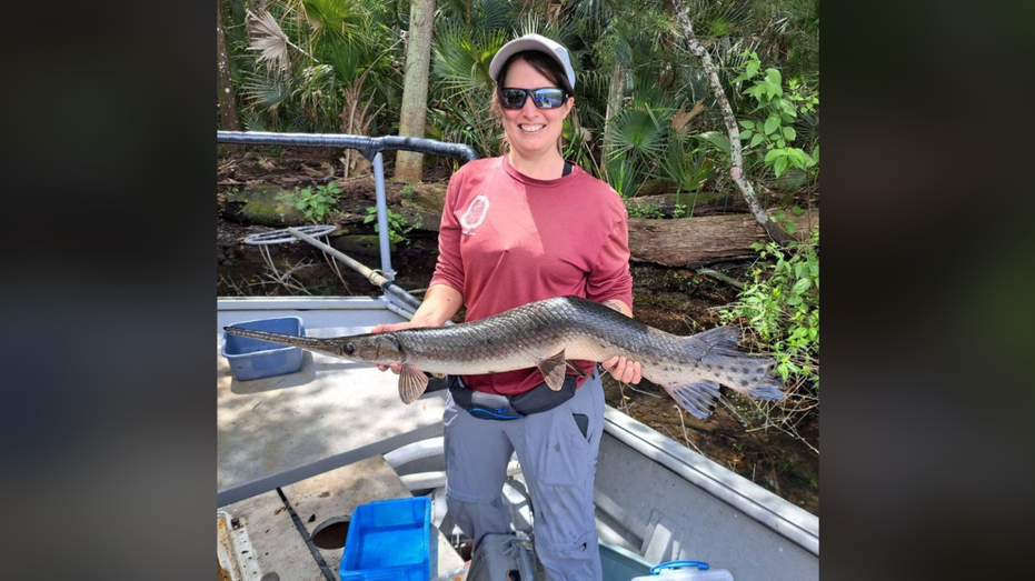 Biologists surprised by ‘interesting’ crooked fish caught in Florida waters