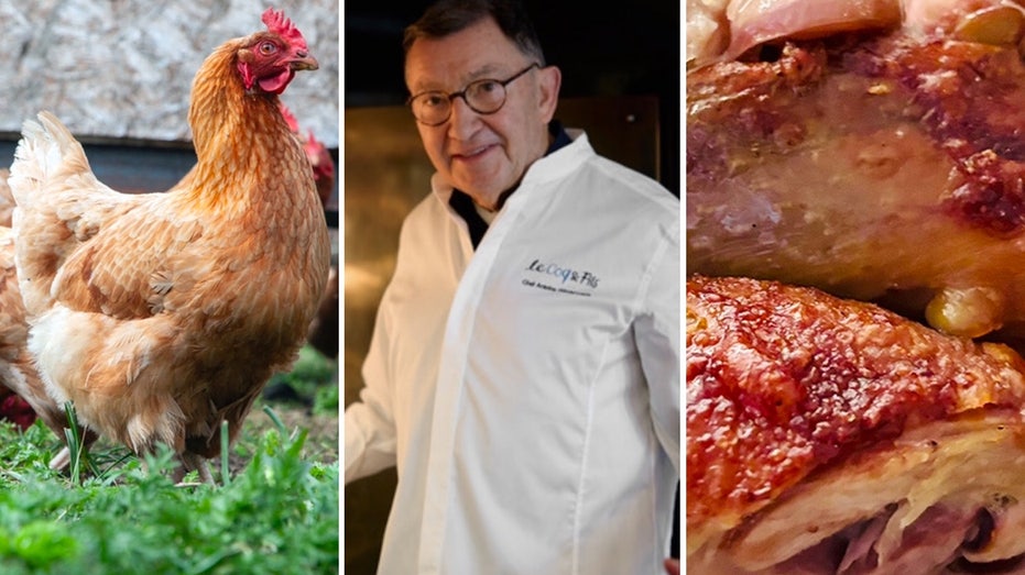 Paris restaurant selling roast chicken for $181 with 'steakhouse' splendor from French chef