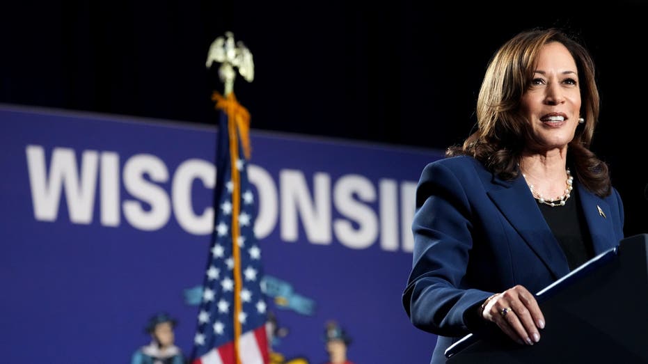 Dem voters at Milwaukee rally say they're fired up for Harris: 'United and energized'