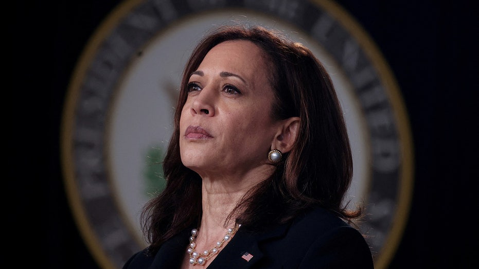 6 House Dems vote with GOP to condemn Kamala Harris for 'border czar' role
