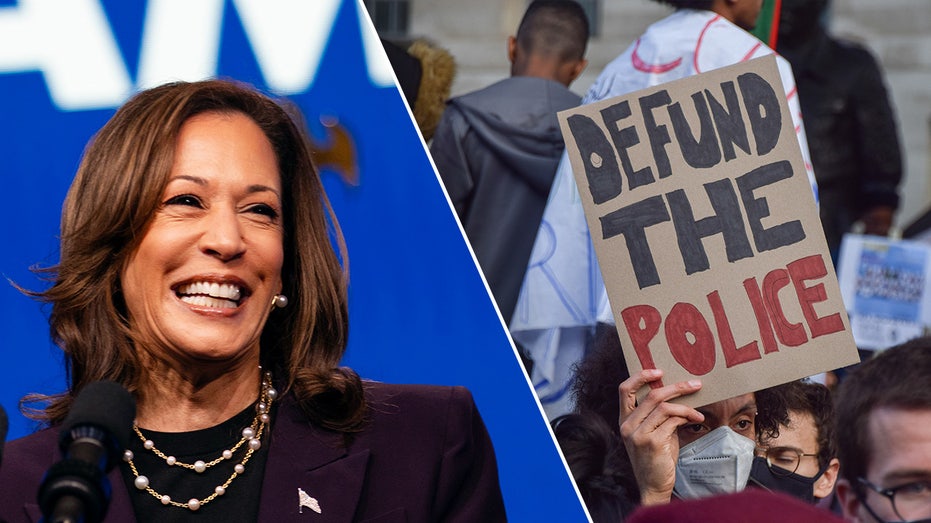 Kamala Harris hit for her role in promoting IRA funding of 'anti-American' groups
