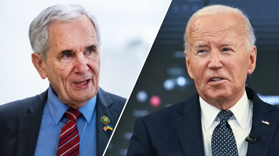 Texas Congressman becomes first elected Dem to call on Biden to withdraw from election: ‘Too much is at stake’