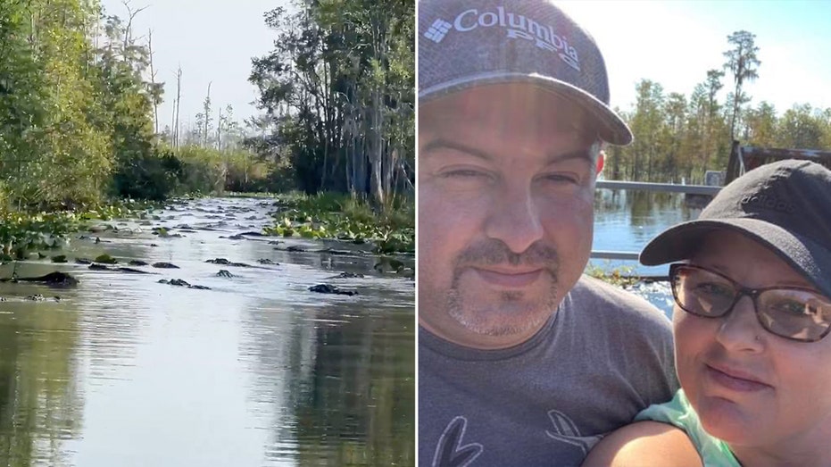 In Georgia's Okefenokee Swamp, alligators swarm canal in viral video: 'Gators everywhere'