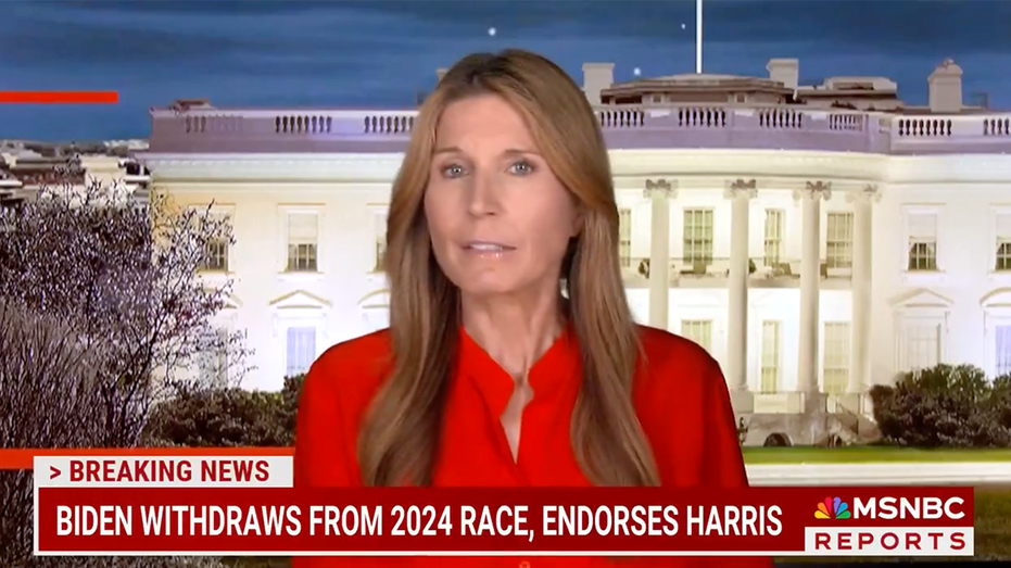 Nicolle Wallace calls for more 'political sacrifice' like Biden, urges ex-Trump officials to back Democrats