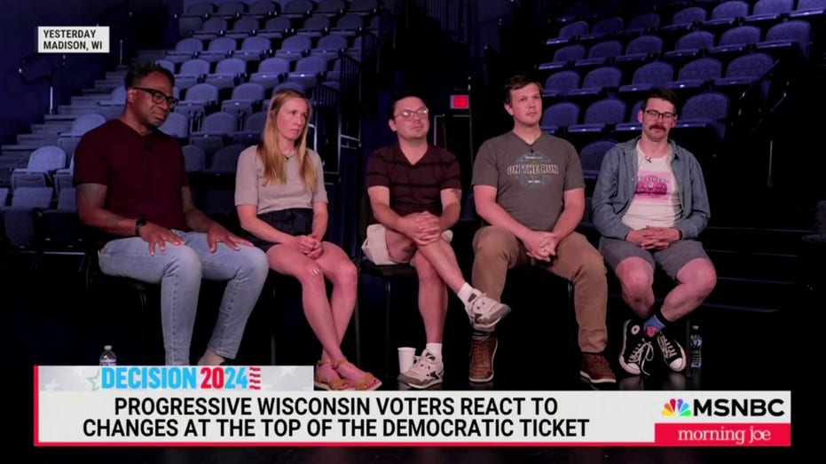 Wisconsin Democrats say Biden needed to drop out 'far sooner' to allow primary: 'Don’t like on principle'