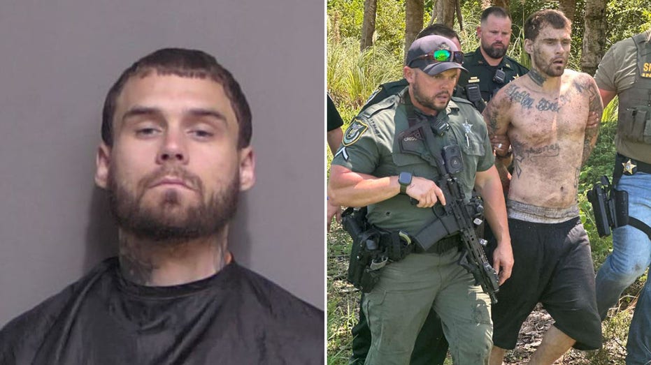 Escaped Florida felon who allegedly faked injury screams in agony as K-9 drags him from hiding spot in woods