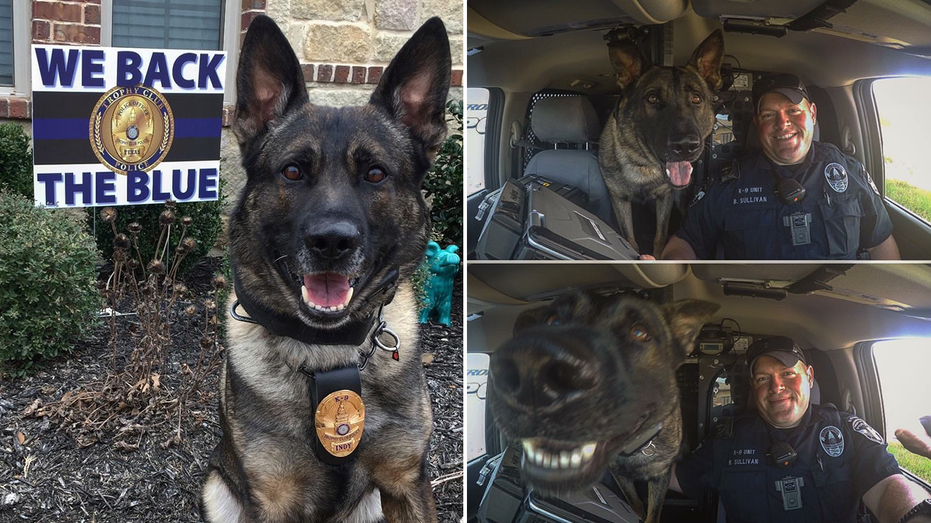 Texas K-9 retires after nearly a decade of service, gets heartfelt ‘thank you’ from law enforcement