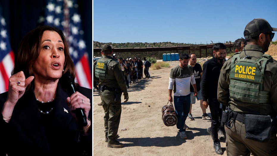 Harris has not spoken to Border Patrol chief despite ongoing migrant crisis, 'root causes' push