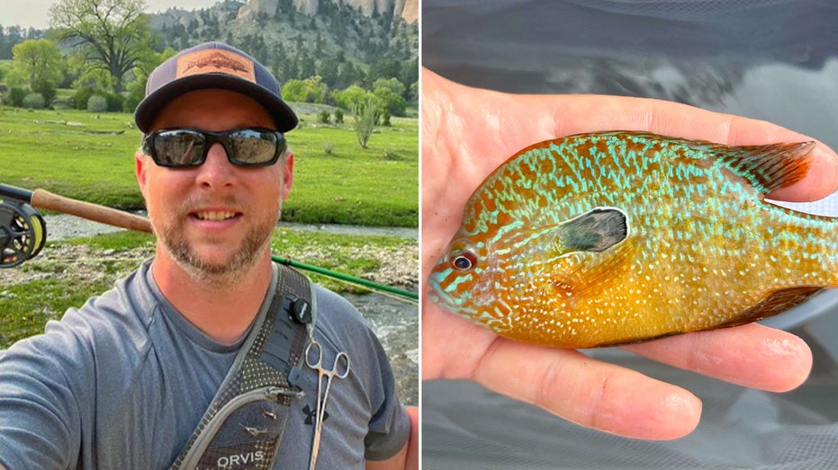 Nebraska fisherman reels in new fish species in state: ‘Bright orange with turquoise’