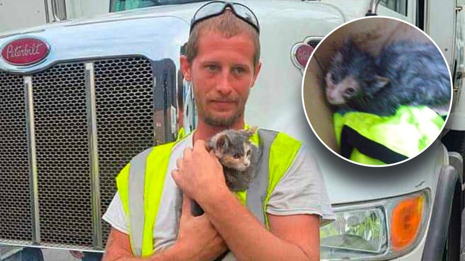 New Jersey kitten is rescued from waste compactor just in the nick of time