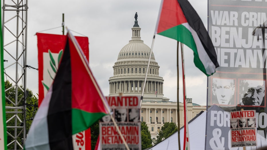 Support for Israel drops as Democrats turn against key US ally: poll