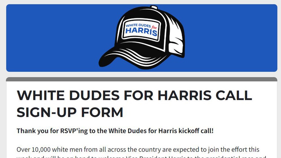 ‘White Dudes for Harris’ virtual meeting roasted online: ‘Most Beta gathering in history’