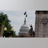 A pro-Palestinian demonstrator waves a Palestinian flag, on the day of Israeli Prime Minister Benjamin Netanyahu's address to a joint meeting of Congress, on Capitol Hill in Washington, U.S., July 24, 2024. REUTERS/Nathan Howard
