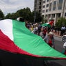 Pro-Palestinian demonstrators carry a large Palestinian flag, on the day of Israeli Prime Minister Benjamin Netanyahu's address to a joint meeting of Congress, on Capitol Hill in Washington, U.S., July 24, 2024. 