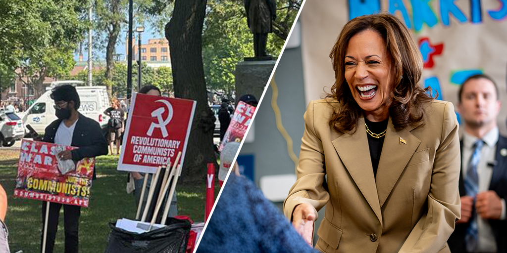 Communist activist slams Dems for 'deceptive' messaging at DNC: 'They need votes'