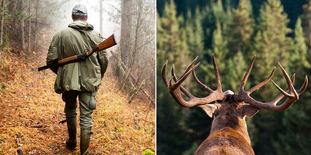 Hunter of beloved 'Hollywood Buck' in Virginia faces jail time, loses hunting license for 25-plus years