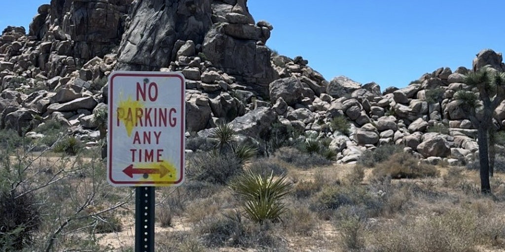 German tourists deface Joshua Tree National Park in paintball and slingshot shooting rampage