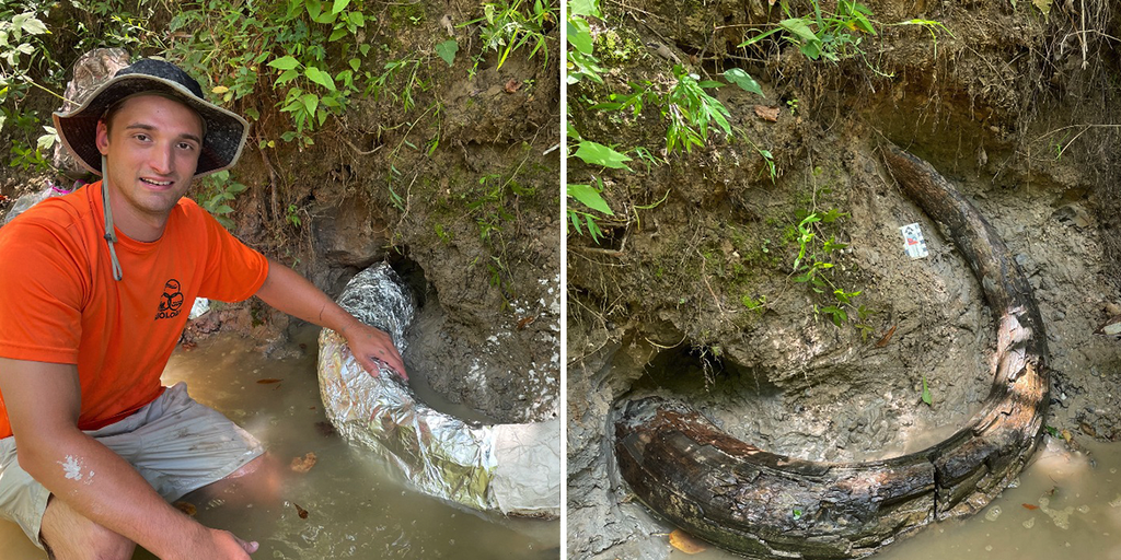 Man in Mississippi discovers rare mammoth tusk dating back to Ice Age