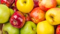 Group of apples in a wooden traditional box. Colorful composition of fruit. - Fox News