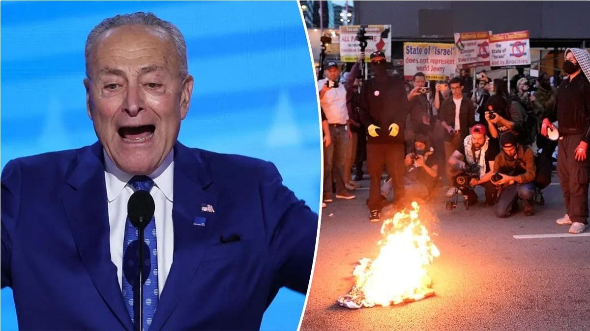 Sen. Schumer, left; anti-Israel agitators burn US flag, right