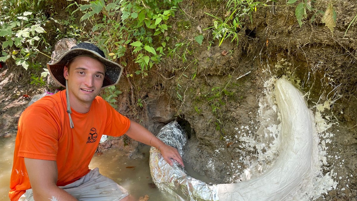 mammoth tusk in Mississippi