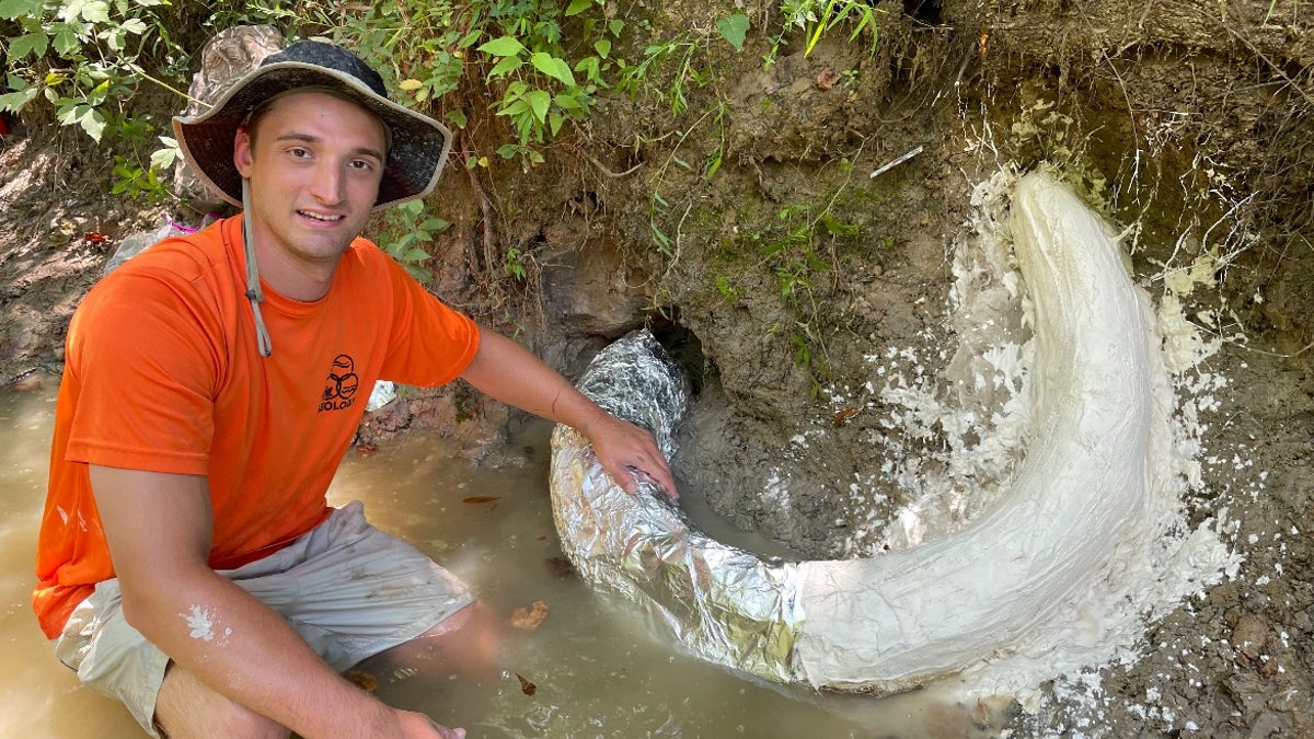 mammoth tusk in Mississippi