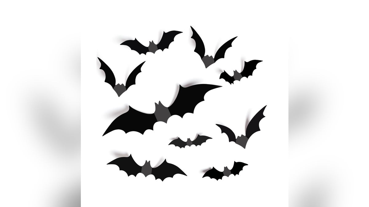 Add bats to all the rooms in your house. 