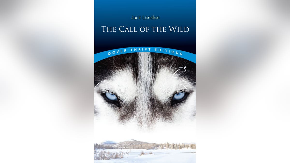 A harrowing journey into the depths of the Alaskan wilderness. 