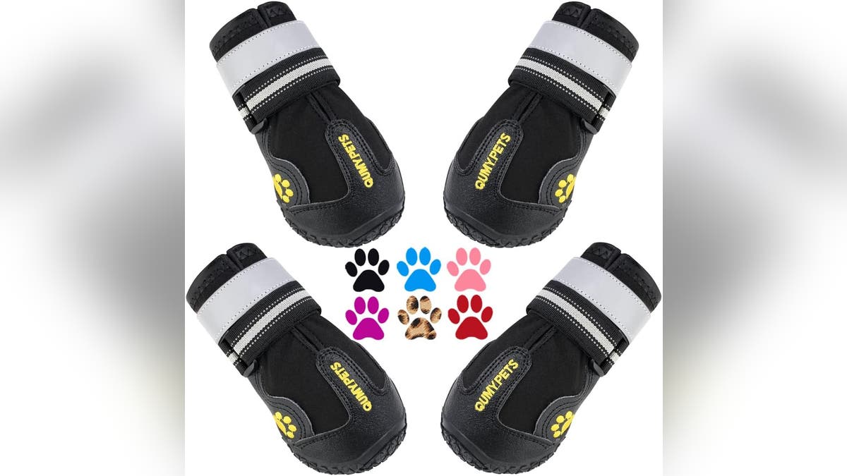 Protect your dog's paws during the winter months. 