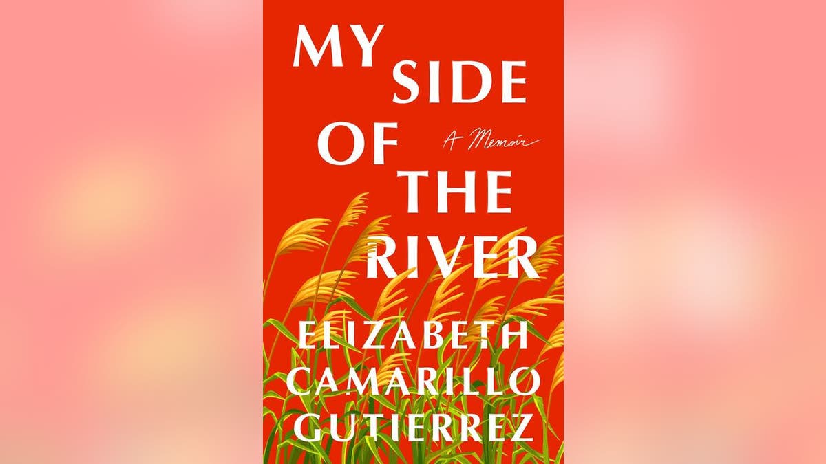 This memoir looks at the state of immigration in our country. 