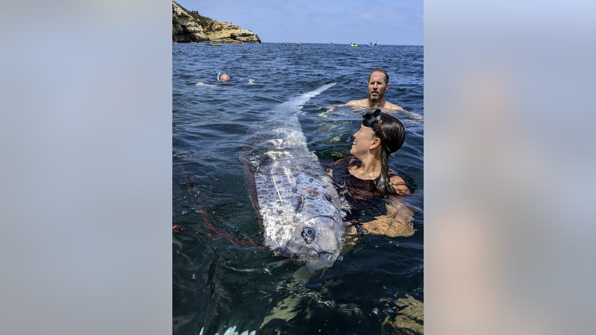 rare fish spotted in California, the doomsday fish