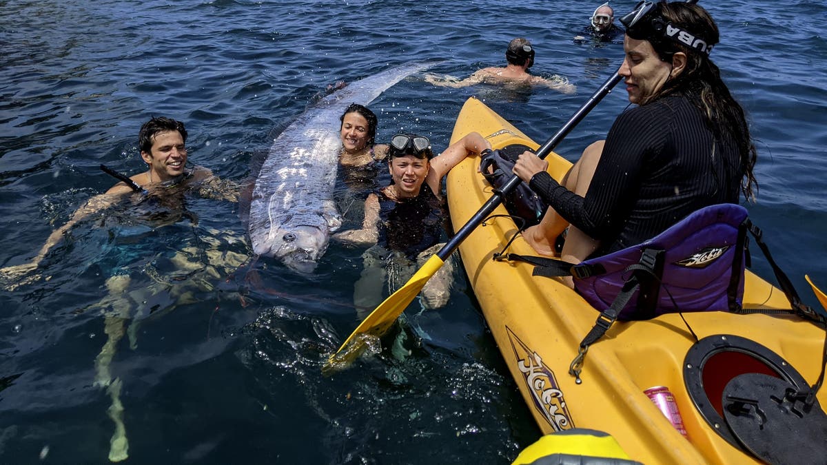 oarfish in California