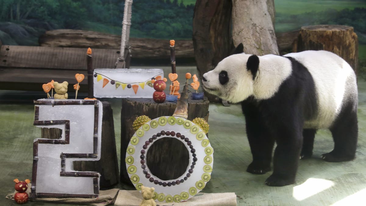 cumpleaños panda