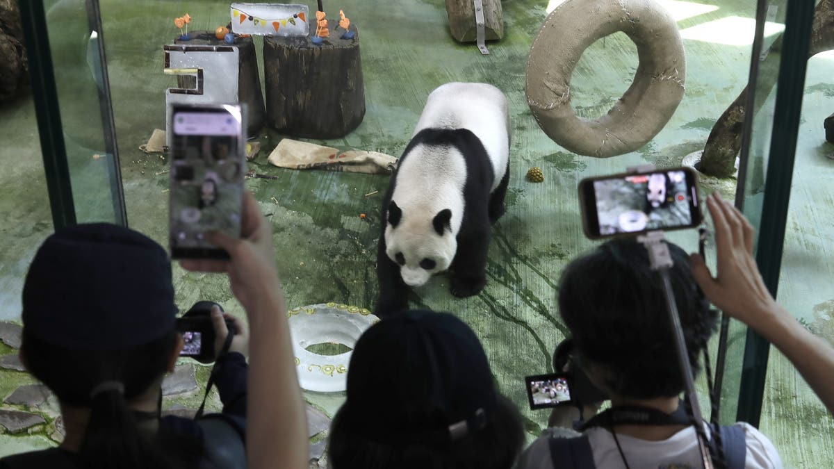 PANDA CUMPLEAÑOS